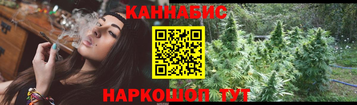 Бошки Шишки сатива Салехард